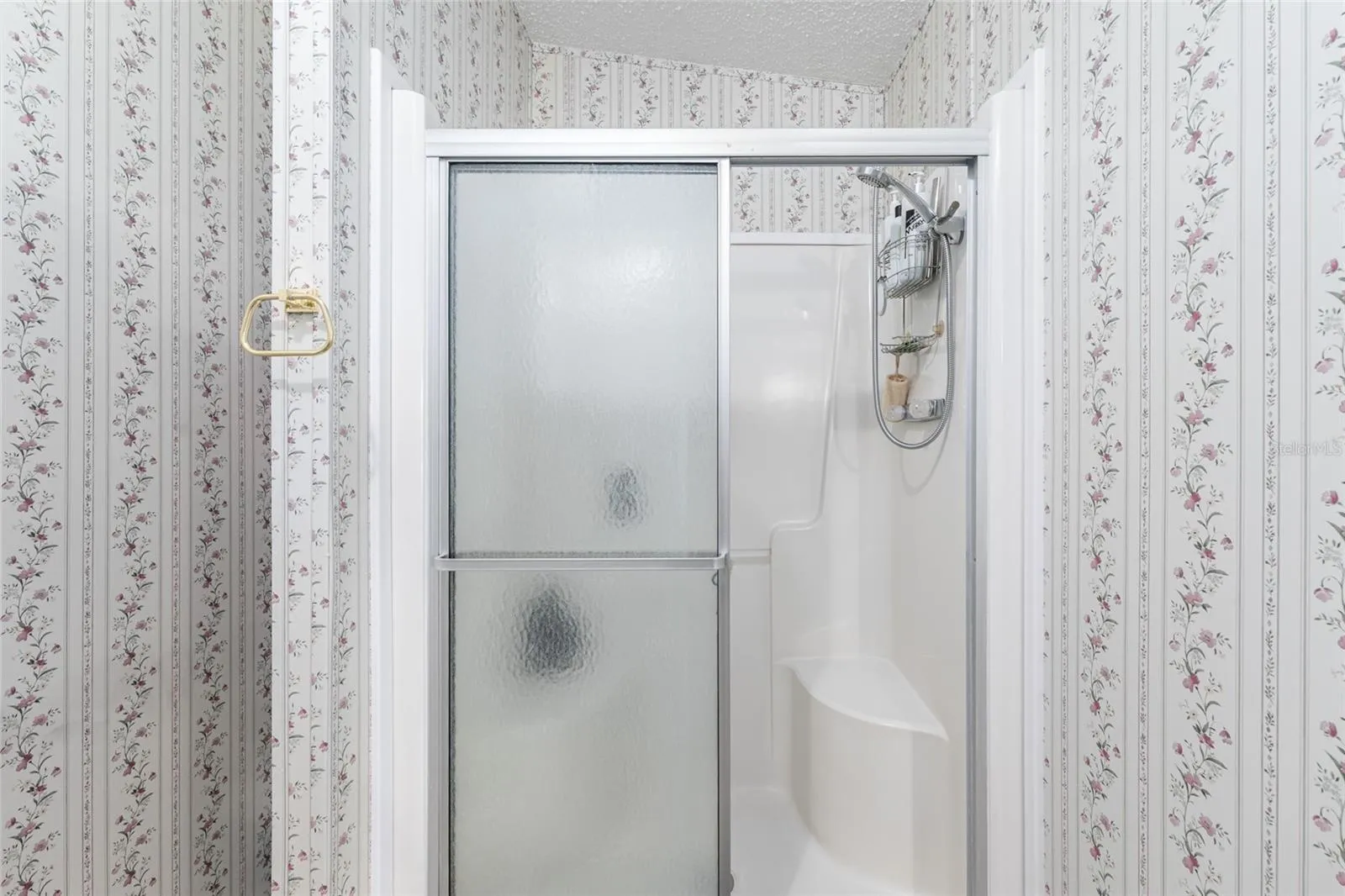 Primary Shower