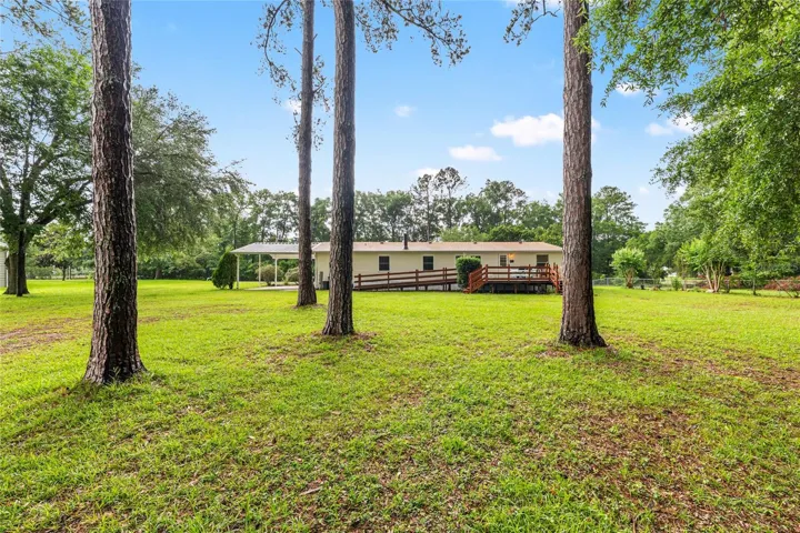 Large Yard