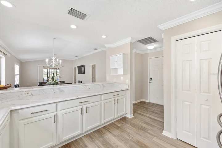 Pantry Closet & Cabinets with Pull-outs