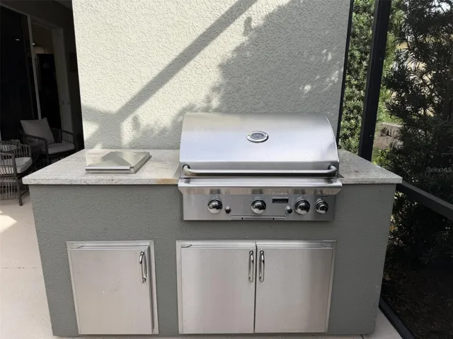 Built-in gas grill will convey with the property