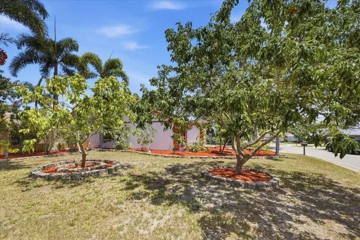 Side yard
