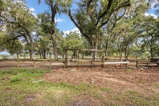 cattle pens
