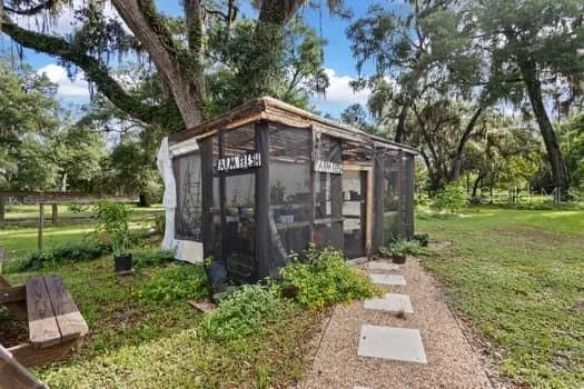 pathway to garden/greenhouse
