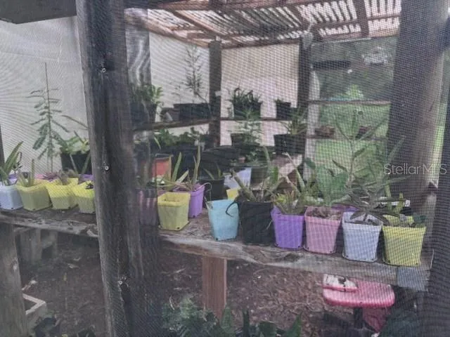 inside greenhouse/tropical plants