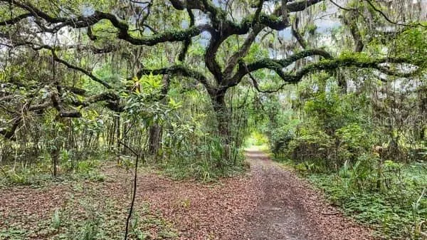walking trail around perimeter