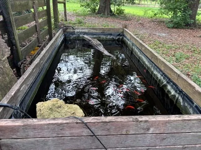 koi pond