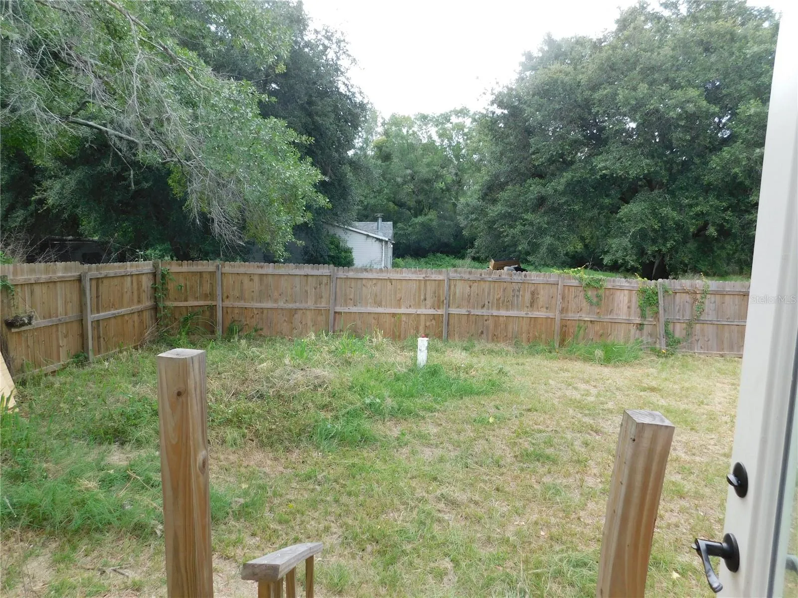 Fenced yard main home