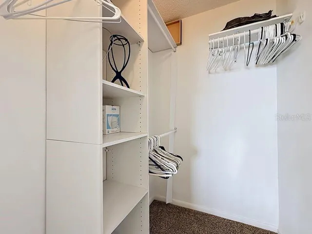 Organized walk-in closet featuring built-in shelving and plenty of hanging space