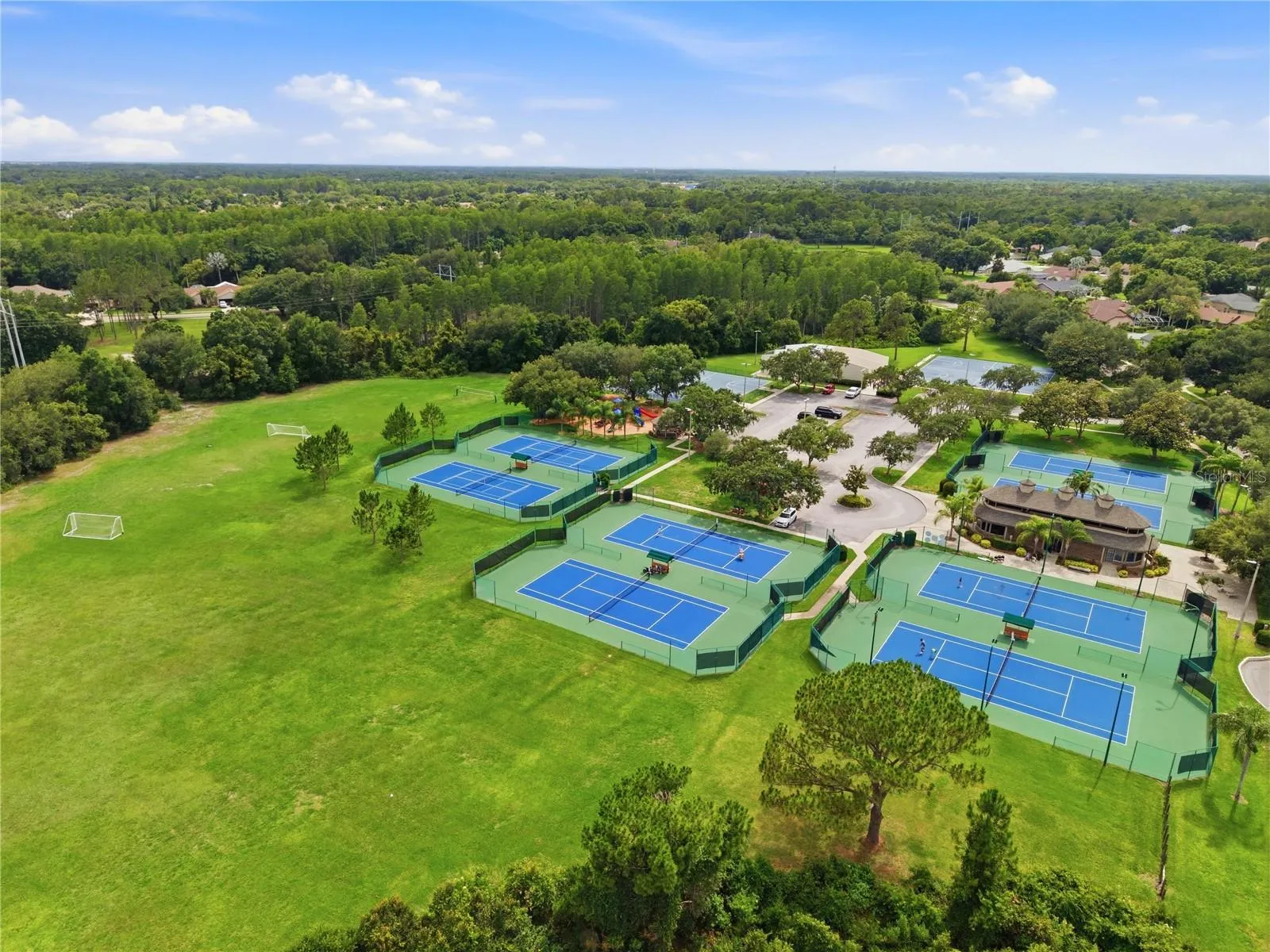Aerial view of the Van Dyke Farms amenities around the Clubhouse. Tennis, Racquetball, Basketball, Hockey, Soccer & a Baseball Diamond.