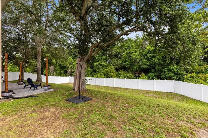 Serene setting with these towering oaks.