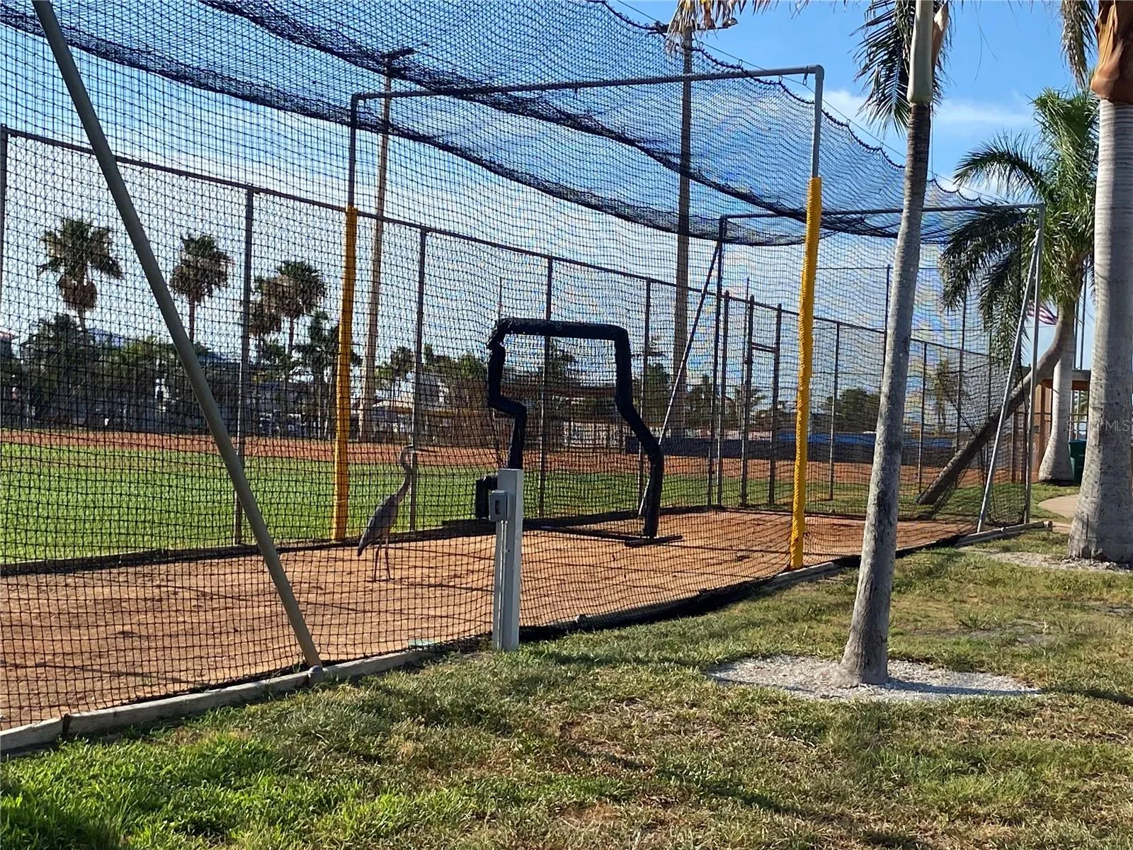 Batting cages, pickleball, tennis, festivals