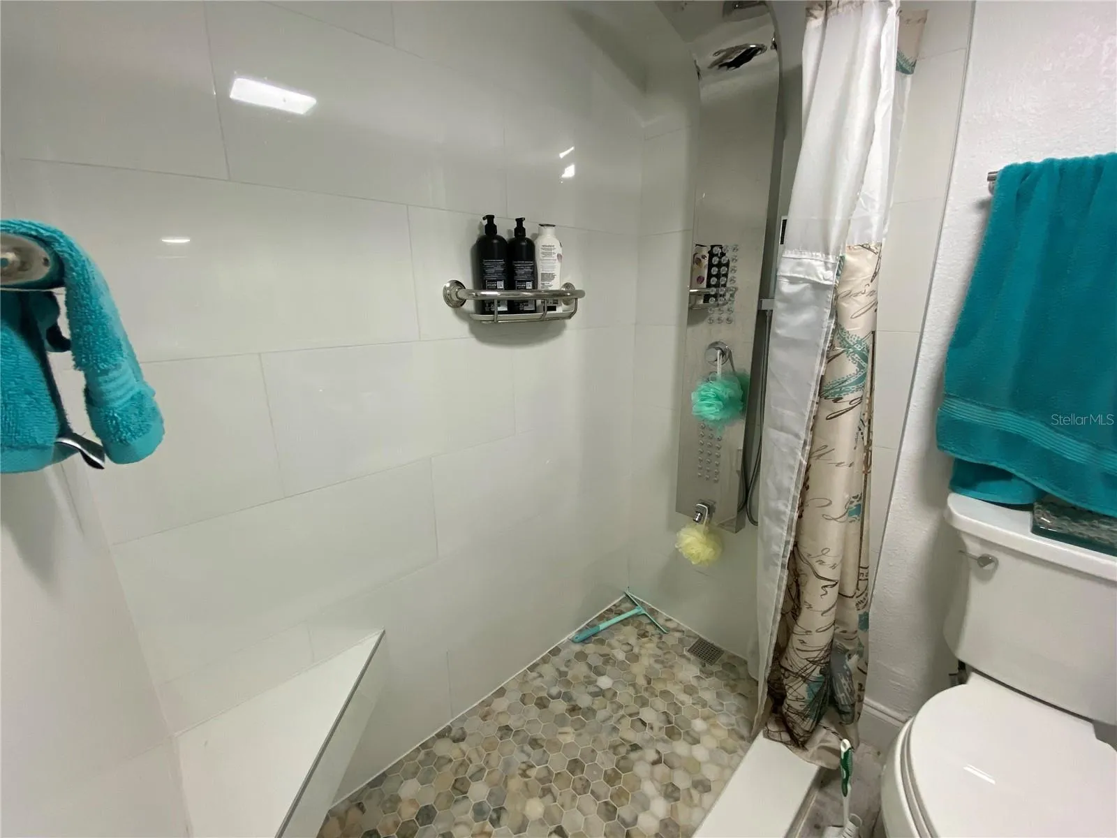 Jack & Jill Bathroom Shower
