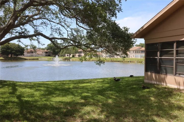 Pond view from patio