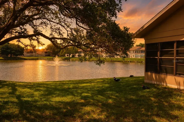 Water view from patio!