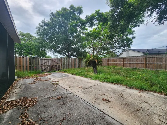 Back Yard