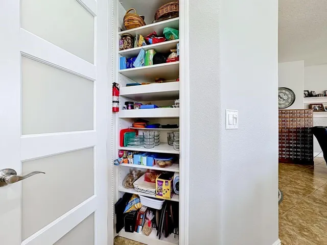 Upgraded Pantry door with shelving