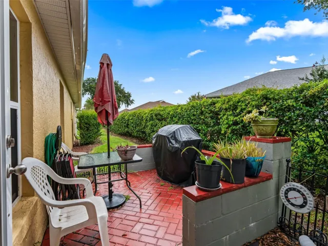 Back Patio w/Privacy Landscape