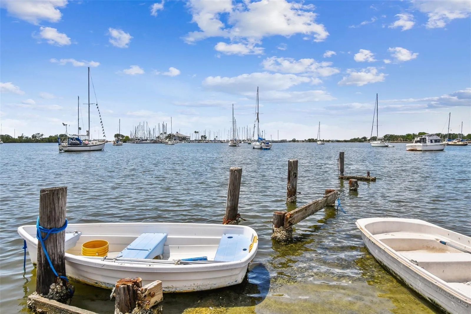 Sea Plane Basin