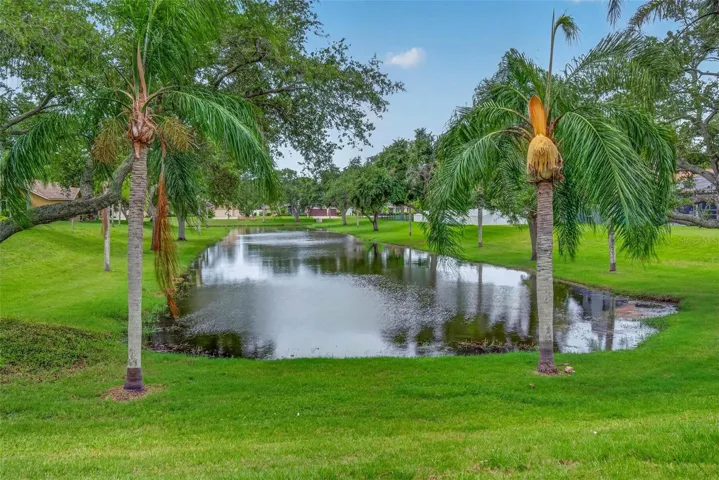 Pond views