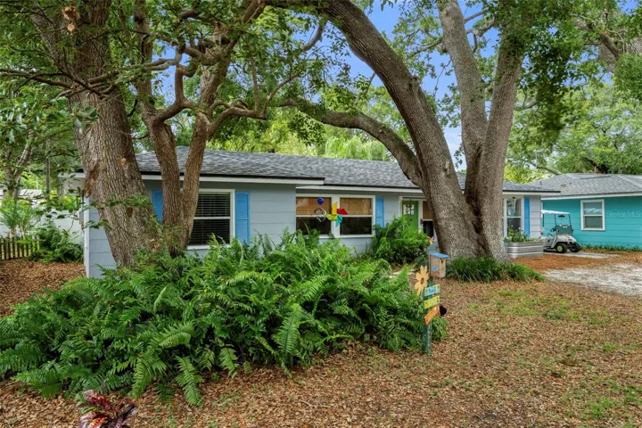 Lush natural landscaping