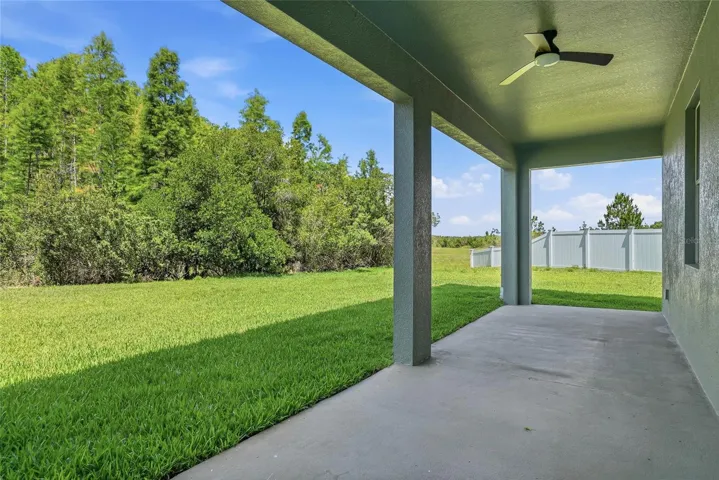 Lush green space with no neighbors behind you