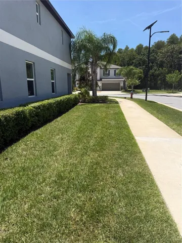 Corner Lot