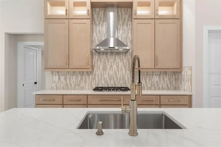 Upgraded Quartz Tops, Stone Backsplash and plumbing fixtures