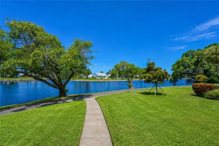 View from villa's patio