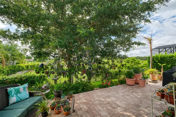 backyard view featuring conservation area and bird watching.