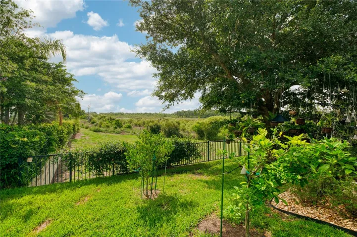 Breathtaking conservation view from backyard.