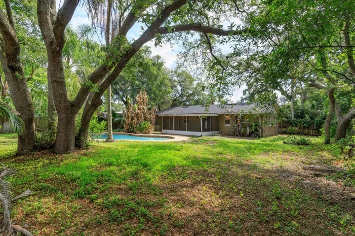 fullly fenced and heavily treed yard