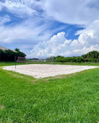 Basketball Court