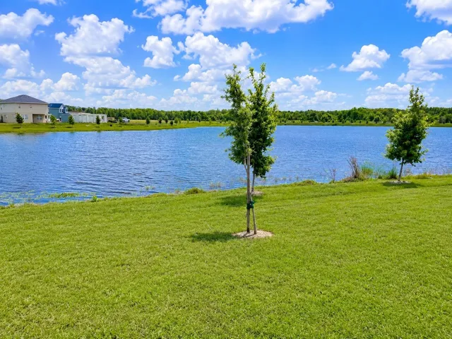 Lake View from Property
