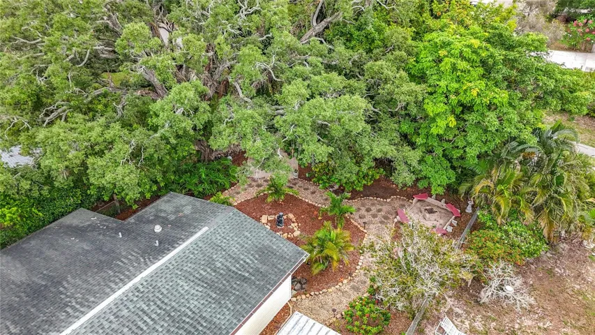 Aerial of Tropical Rear Yard