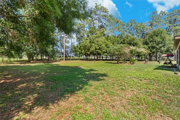 Large Backyard
