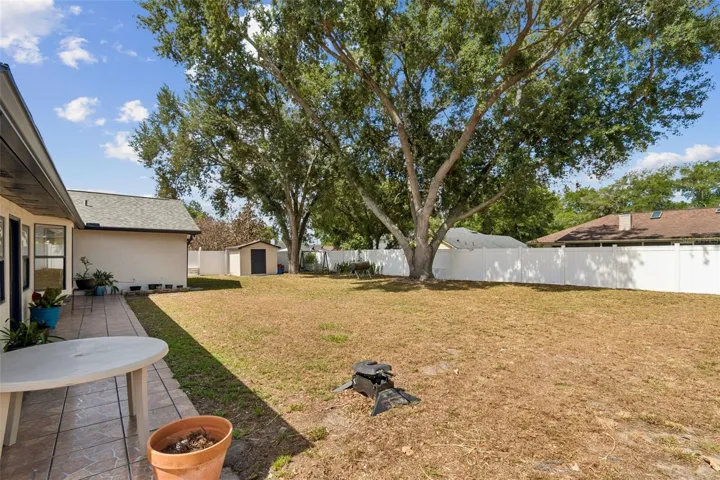 Backyard