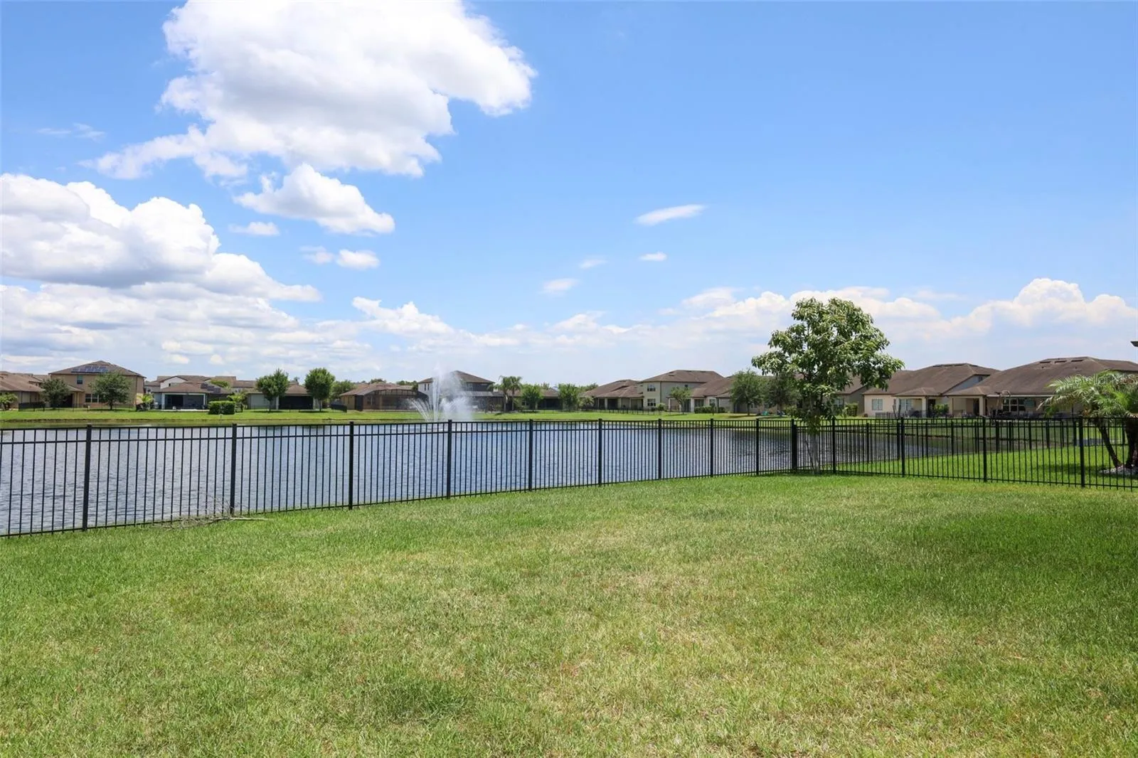 LARGE BACKYARD