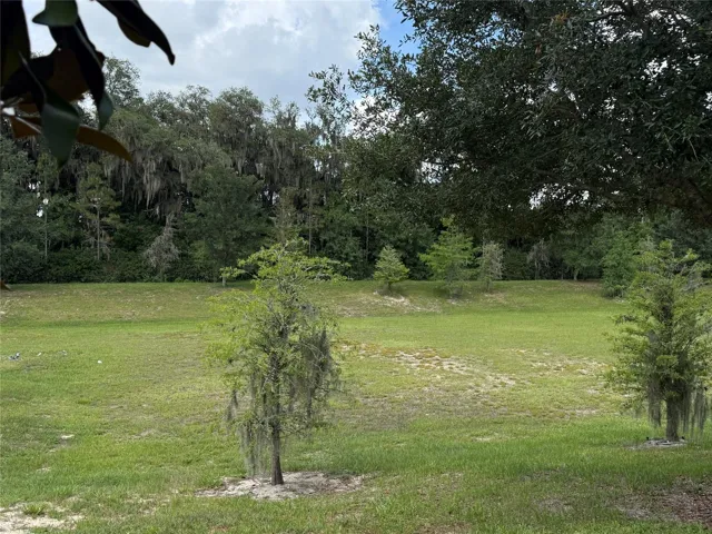 View from back yard