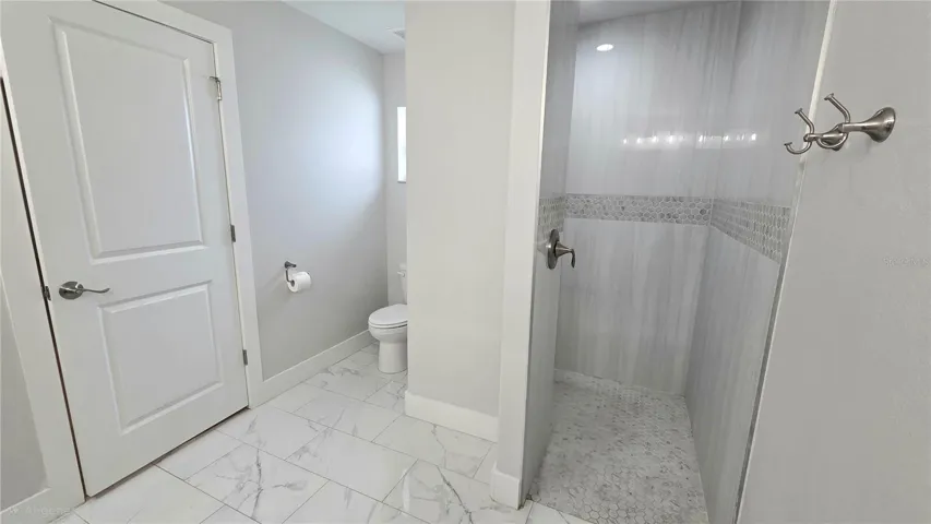 Walk in shower and water closet