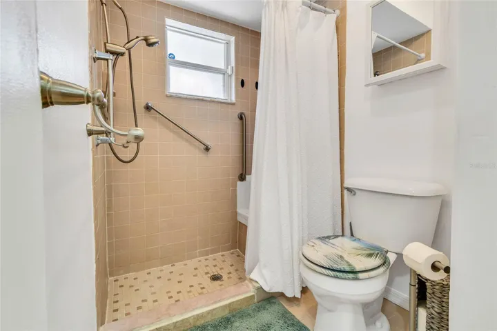 Primary Shower