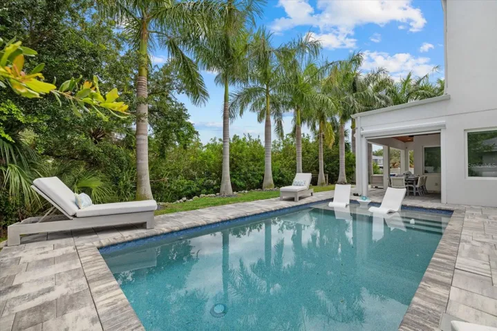 Pool with a private resort feel surrounding by Royal Palms