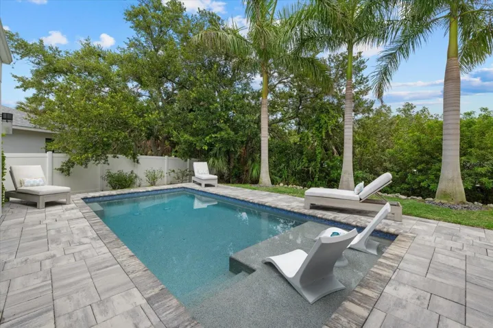 Pool with sun shelf