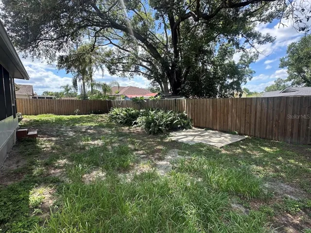 Back Yard