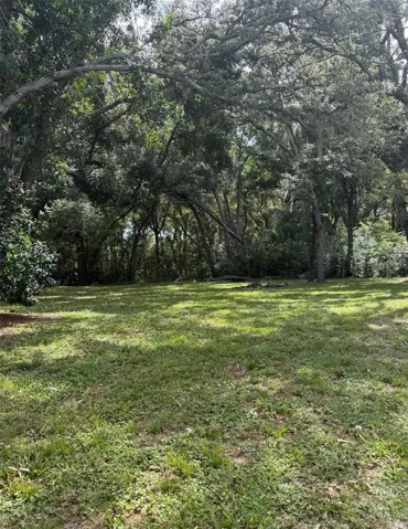 Gorgeous park-like property 290' deep