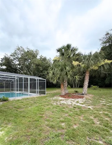 Pool Cage