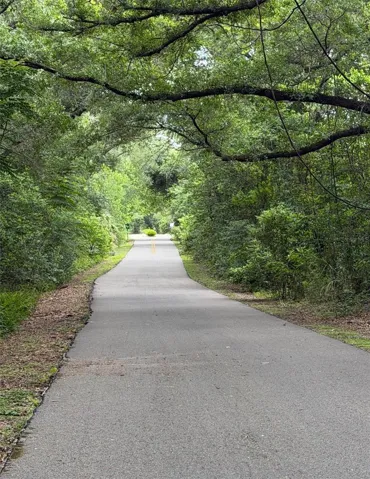 Seminole Wekiva Trail behind home