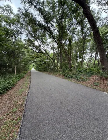 Seminole Wekiva Trail behind home