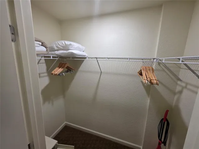Master walk in closet