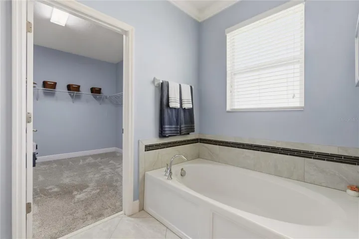 Primary Tub & Closet