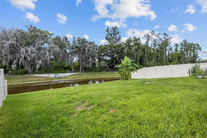 View of the creek and woods in the back.